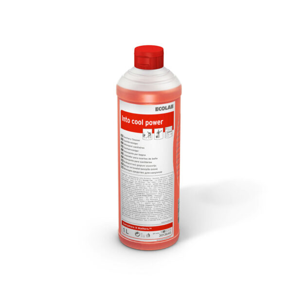 Into cool Power, 12 x 1 l Flasche