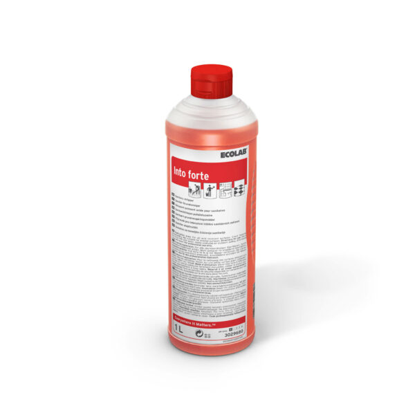 Into forte, 6 x 1 l Flasche