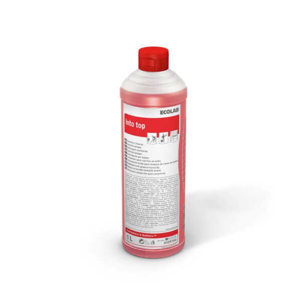 Into TOP, 12 x 1 l Flasche